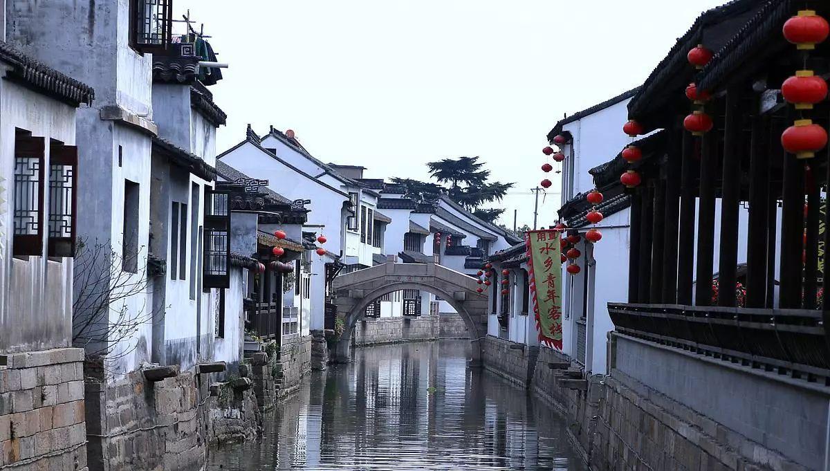 寻找火鸡
